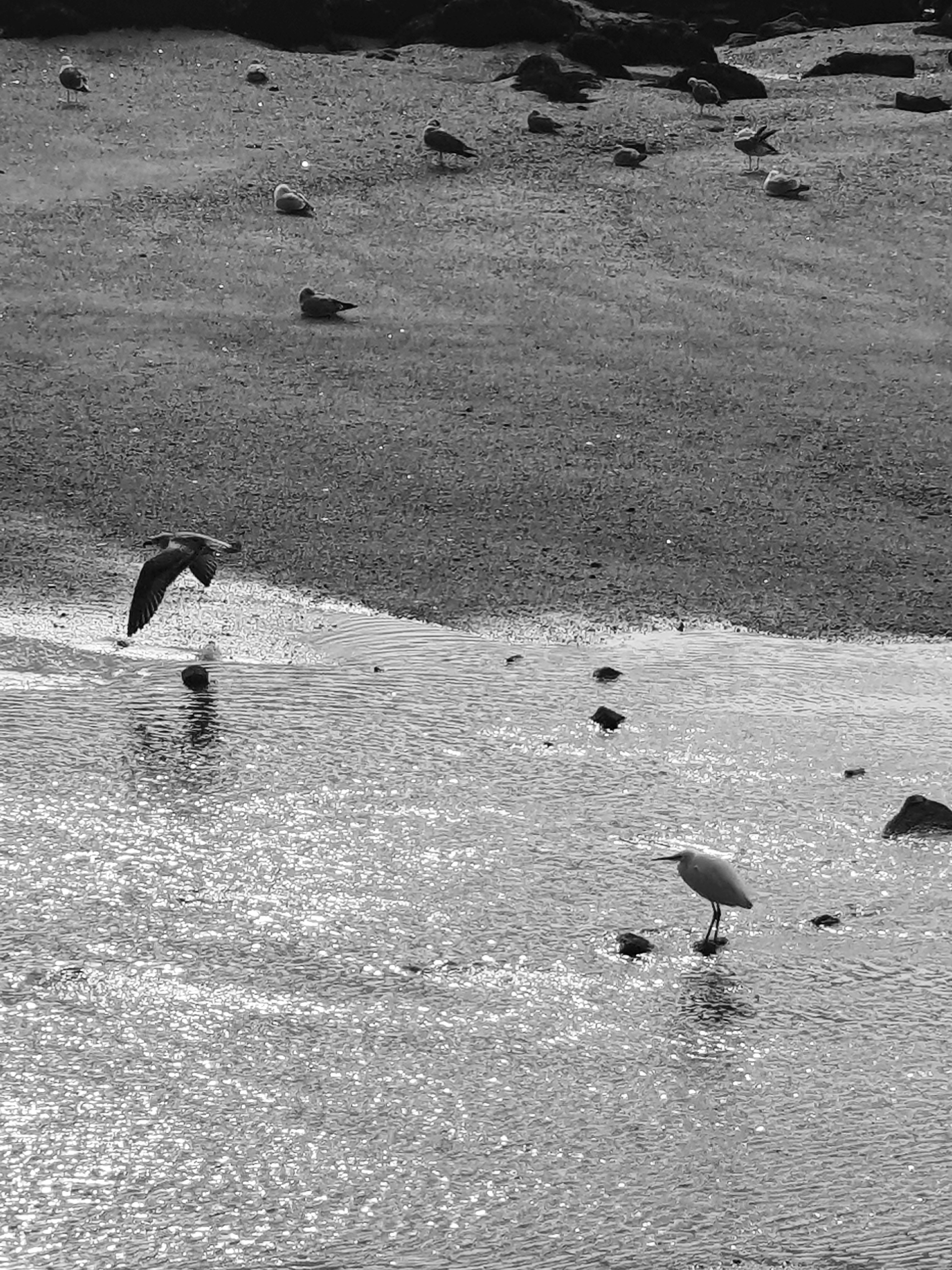 Photography by Ambi banner